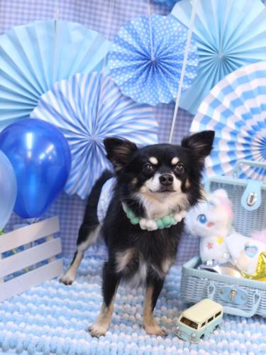 20231117オレオくん